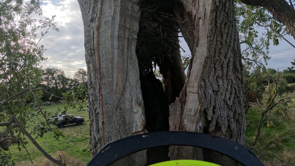 Ash Removal Haxby